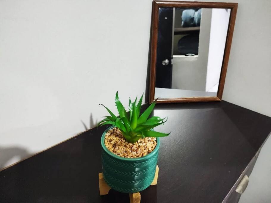 Appartement Hermoso Departamento Centrico Con Servicios à Tequila Extérieur photo